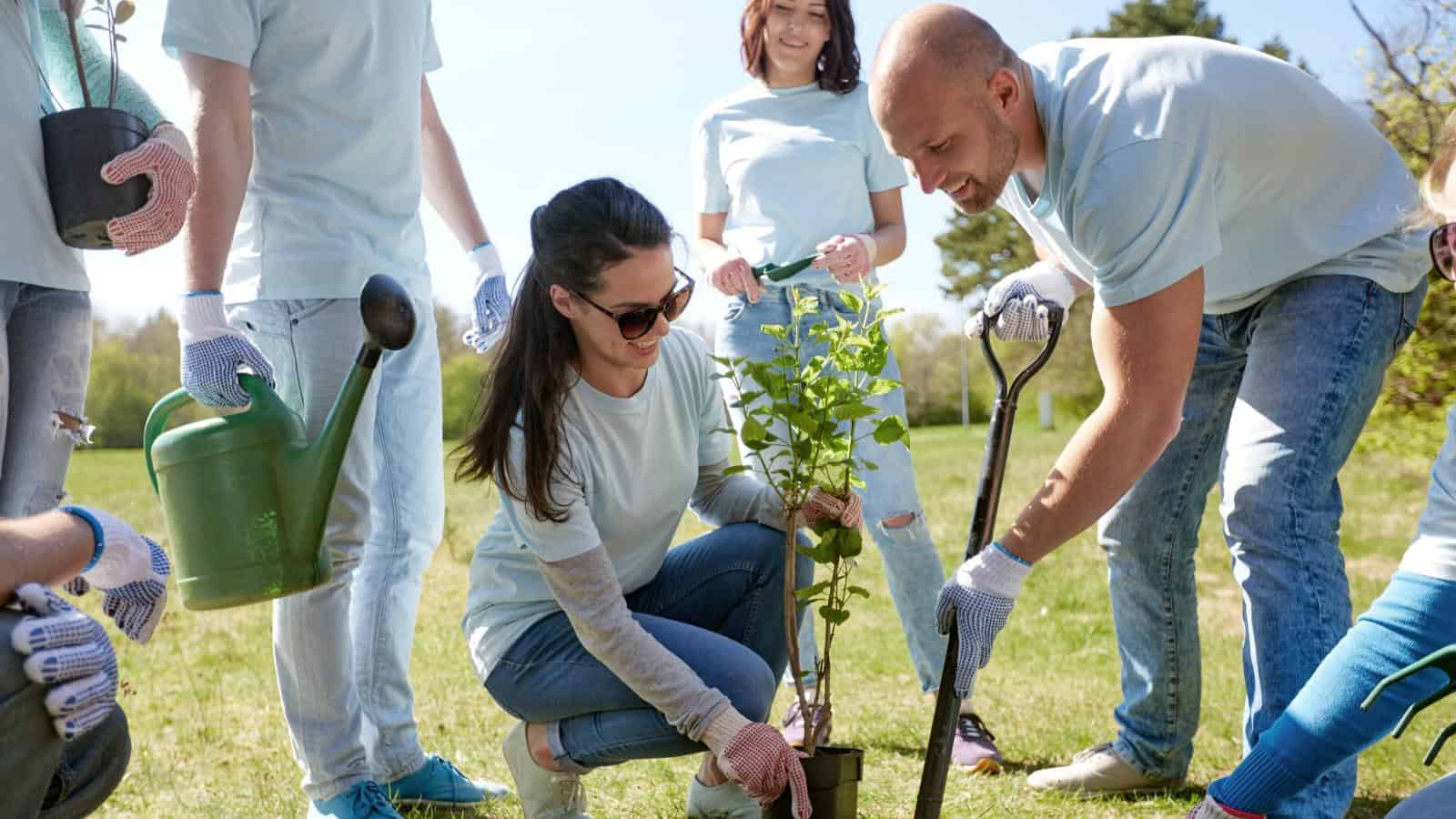 social nature tree happy gardening